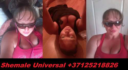 SHEMALE + 37125218****  (27 years) (Photo!) offer escort, massage or other services (#2390553)