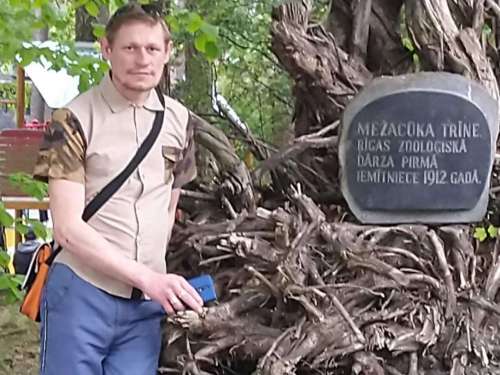 Esu geijs mekleju ka nopelnit naudu slaida auguma virietis sikak sarakste