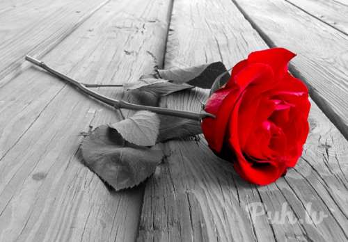 Kopts,  adekvāts,  normālas miesasbūves vīrietis ar atbilstošu izglītību un piered…