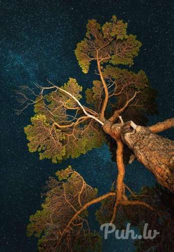 Esmu smuks bi džeks,  ir vēlme atsūkāt kādam sportiskam gara auguma puisim.  Vēlam…