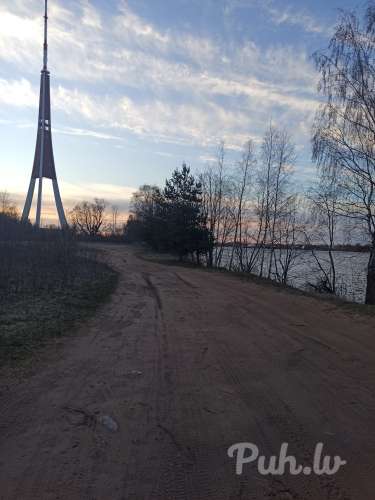 zaķusala ir kads ko izvalet visos caurumos?