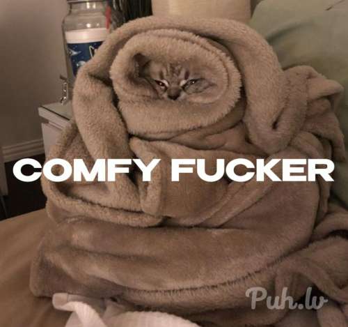 I just wanna spend evening with someone I do not know, get high, watch comedy mo...