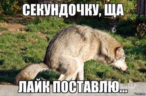 Приму в дар от стройной женщины крупную фирму ,  ну или хотя бы контрольный пакет…