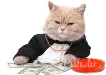 Состоятельный, щедрый, приятный,  одинокий, мужчина(41).  Ищу симпатичную девушку для…