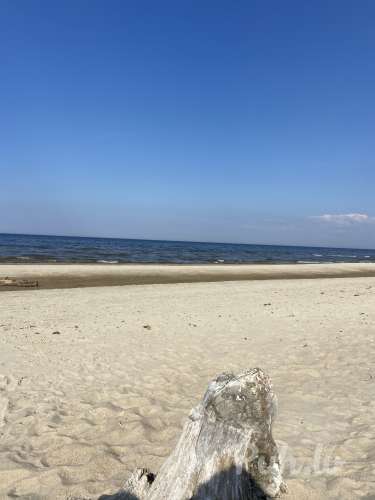 Rihards (33 года)