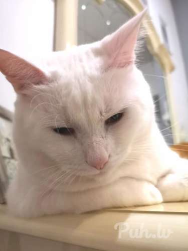 я действительно странник: хотел бы познакомится с человеком своего пола - но без…