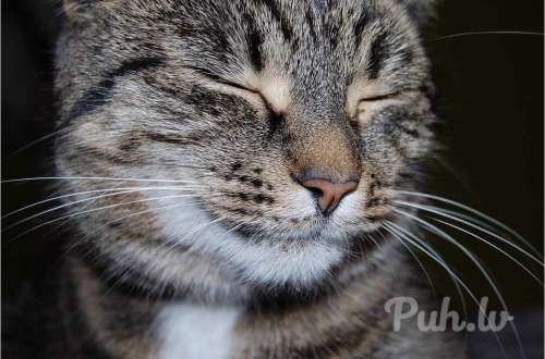 ☀️Если ты реально хочешь приятную встречу с симпатичным и финансовую поддержку т…