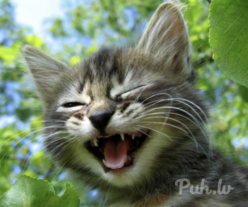 Давай дружить) люблю стройных и добрых девушек.  Я симпатичный и не жадный.  Помог…