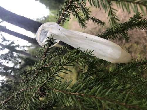 Condom (Фото!) познакомится с мужчиной для секса (№7831237)