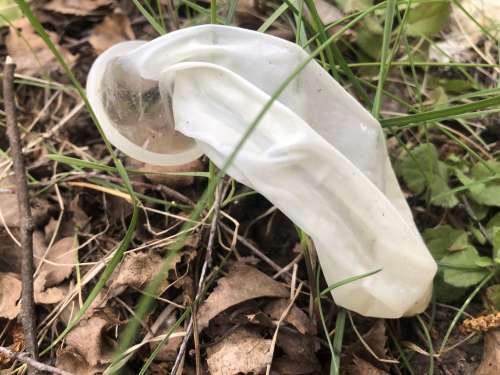 Condom (Photo!) saab mehega seksi eesmärgil tuttavaks (#7831279)