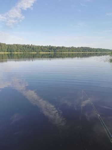 Alex.  (43 gadi) (Foto!) iepazīsies ar sievieti nopietnām attiecībām (#8034033)