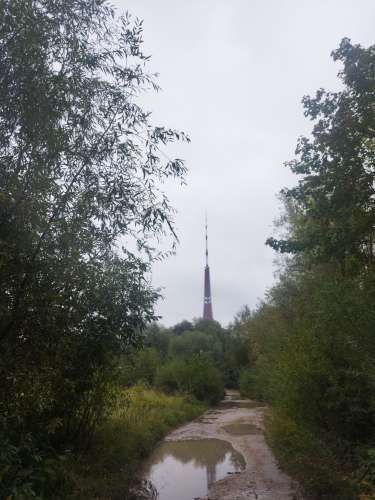 Zaķusala hetero? (30 aastat) (Foto!) saab tuttavaks paariga või kohtub paariga (№8066543)