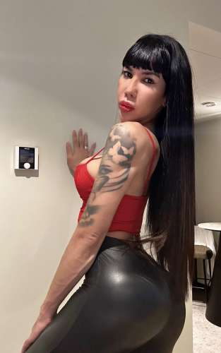 bin Karol ARGENTINIEN,  27 Jahre alt,  TRANS DES GUTEN GESCHMACKS 💎 Sehr hübsch, …