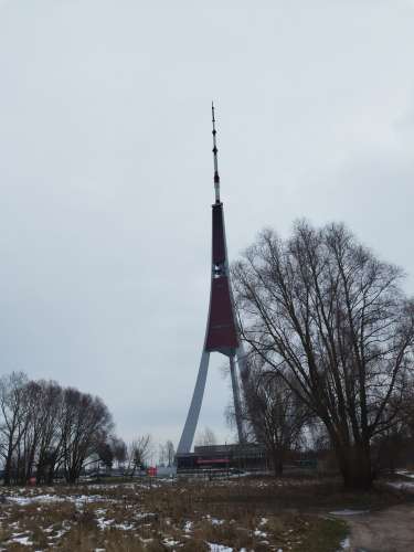 Zaķusala hetero? (Foto!) saab tuttavaks paariga või kohtub paariga (№8221976)