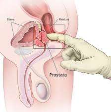 Poorab (27 aastat)