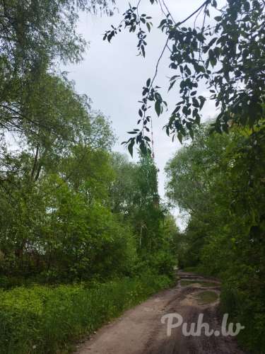 Zaķusala hetero? (30 metų)