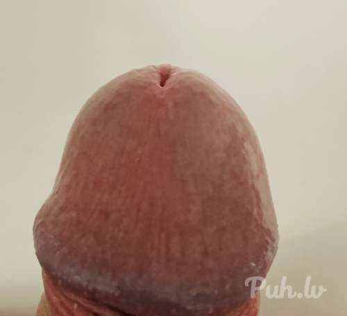 Konfidenciāli meklēju seksa partneri jebkur Kurzemē! Atlīdzināšu! Es kopts,  sim…