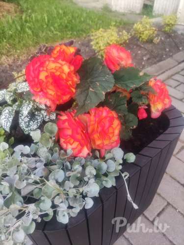 Sex Liepājā (37 metų)