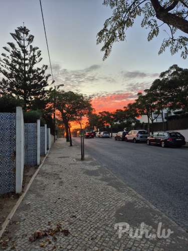 Gendolfs (30 aastat)