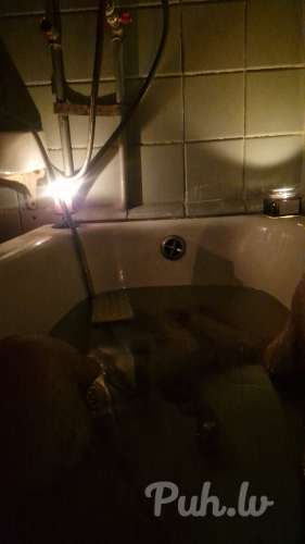 Wirgin (33 года)