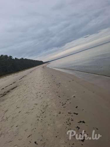 Hey daiļās dāmas.  Varbūt kāda līdz 35 vēlētos jauku,  koptu simpātisku džeku palu…
