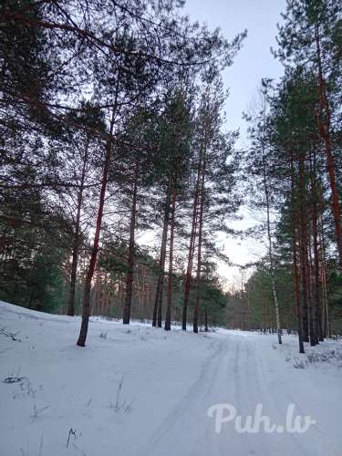 Meklēju meiteni kas šodien sastãdīs kompăniju paballēt,  vēlams ar autovadītája a…