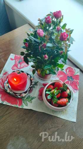 Čaviņas!!!Ticu ka šeit ir kāda Reāla sieviete/meitene kas vēlas Olaine, Dobelē, B...