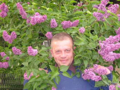 Oleg (36 лет) (Фото!) познакомится с женщиной для серьёзных отношений (№996855)